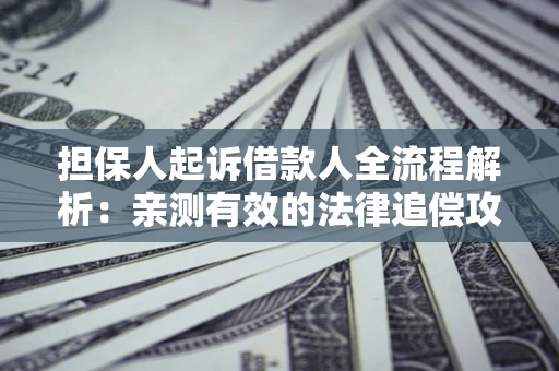 济南担保人起诉借款人全流程解析：亲测有效的法律追偿攻略