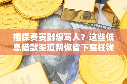 济南担保费贵到想骂人？这些低息借款渠道帮你省下冤枉钱