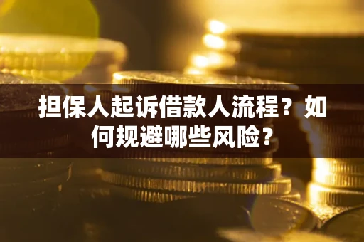 济南担保人起诉借款人流程？如何规避哪些风险？